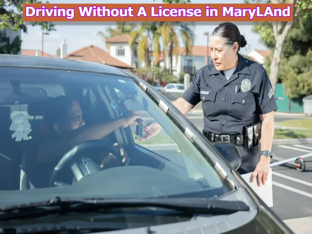 A police lady having a look at a driver's license with a text "Driving without license in Maryland" on top of the image. 