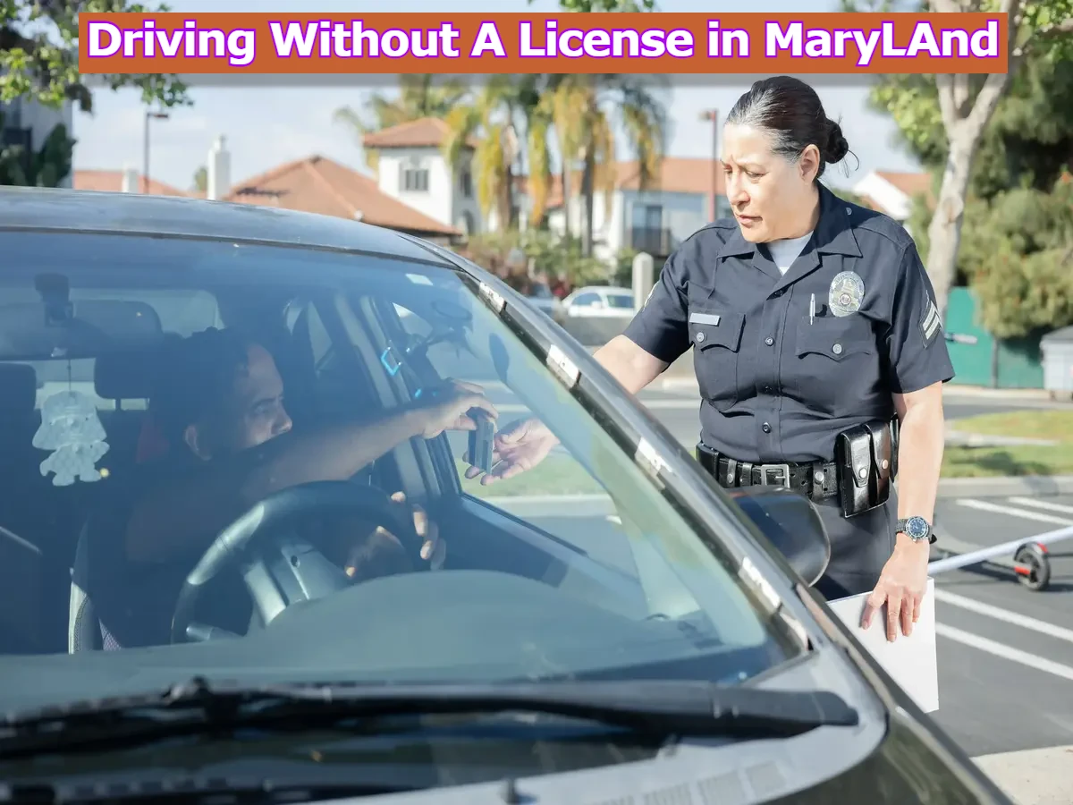 Maryland's licensing laws