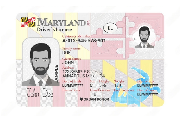 Maryland driving license